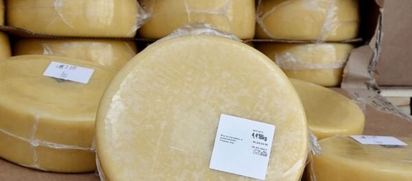 Санкционный сыр на Оренбургской таможне Санкционный сыр на Оренбургской таможне - Sputnik Литва