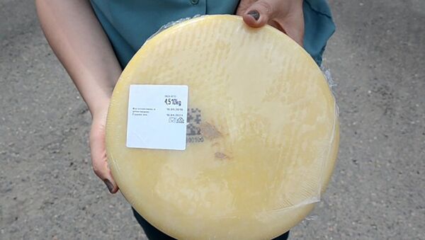 Санкционный сыр на Оренбургской таможне - Sputnik Lietuva