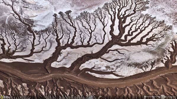 Снимок Colorado River фотографа Stas Bartnikas, получивший приз зрительских симпатий в категории Nature конкурса National Geographic Travel Photo 2019  - Sputnik Lietuva