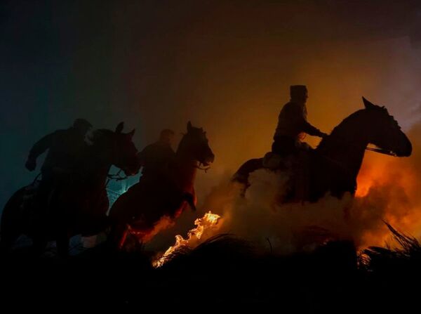 Снимок Horses фотографа Yoshiki Fujiwara, занявший второе место в категории People конкурса National Geographic Travel Photo 2019 - Sputnik Литва