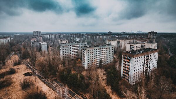 Чернобыль, архивное фото - Sputnik Литва