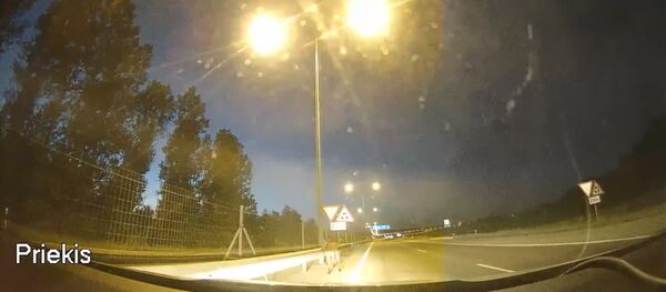 Полиция Шяуляя спасает олененка - Sputnik Литва