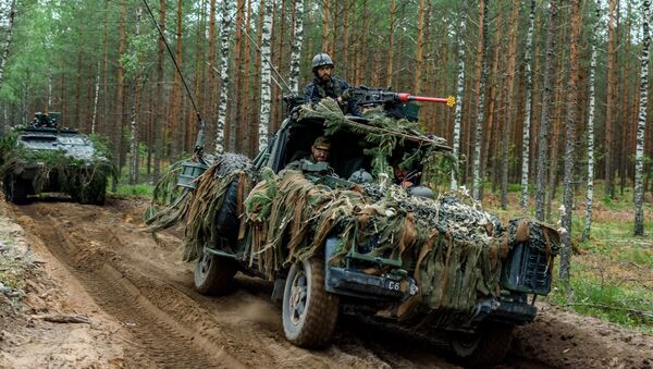 Военные учения Железный волк 2019-1 в Литве, архивное фото - Sputnik Литва