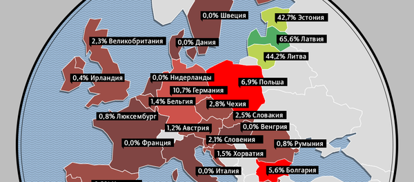 Русский язык в Европейском союзе Русский язык в Европейском союзе - Sputnik Литва