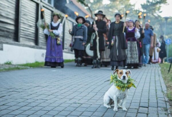 Gražiausios Joninių tradicijos bus pristatytos festivalyje Neringoje Gražiausios Joninių tradicijos bus pristatytos festivalyje Neringoje - Sputnik Lietuva