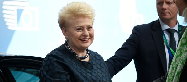 Президент Литвы Даля Грибаускайте, архивное фото Президент Литвы Даля Грибаускайте, архивное фото - Sputnik Lietuva