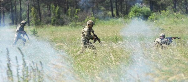 Военные учения солдат ВСУ во Львовской области, архивное фото - Sputnik Литва