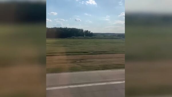 В Сети появилось видео жесткой посадки самолета, на котором летел Киркоров - Sputnik Литва