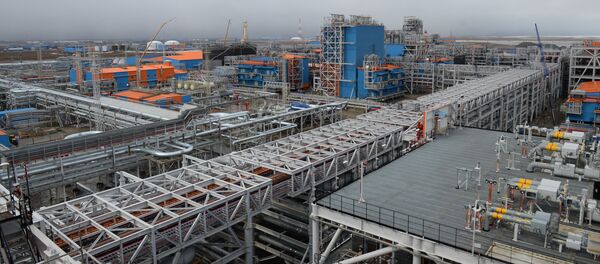 Завод Ямал СПГ, архивное фото - Sputnik Литва
