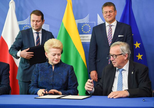 Президент Литвы обрадовалась необратимости выхода республики из БРЭЛЛ - Sputnik Литва