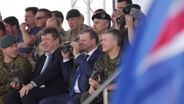 Saulius Skvernelis stebėjo pratybas Geležinis Vilkas - Sputnik Lietuva
