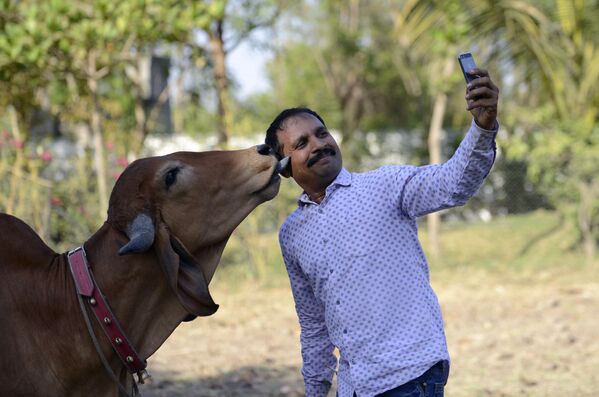 Мужчина делает селфи со своей коровой, Индия - Sputnik Lietuva