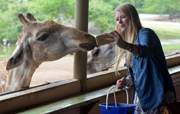 Туристка делает селфи с жирафом в зоопарке на окраине Бангкока - Sputnik Lietuva