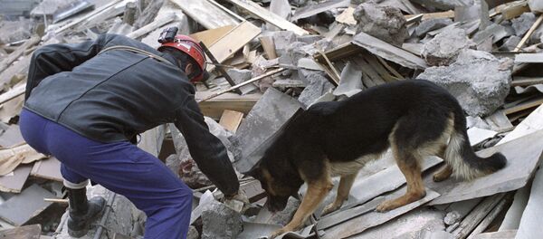 Землетрясение Землетрясение - Sputnik Литва