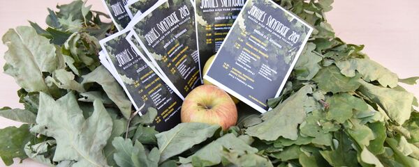 День летнего солнцестояния – праздник Йонинес в Литве День летнего солнцестояния – праздник Йонинес в Литве - Sputnik Lietuva