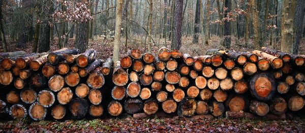 Вырубка леса, архивное фото - Sputnik Литва