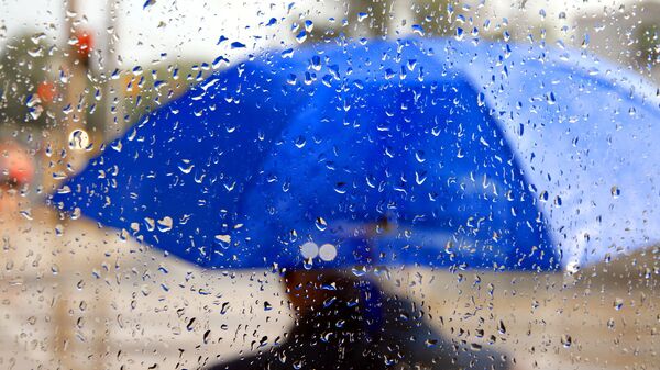 Дождь, человек с зонтом, архивное фото - Sputnik Lietuva