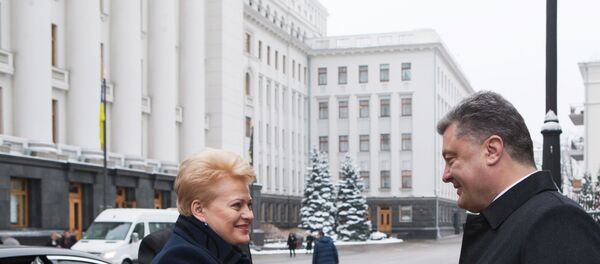 Президент Украины Петр Порошенко и президент Литвы Даля Грибаускайте во время встречи в Киеве, архивное фото Президент Украины Петр Порошенко и президент Литвы Даля Грибаускайте во время встречи в Киеве, архивное фото - Sputnik Lietuva
