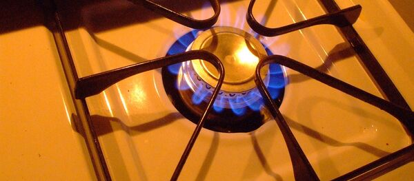 Газовая плита, архивное фото - Sputnik Литва