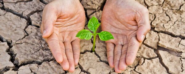 Засуха, архивное фото - Sputnik Литва