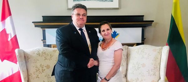 Lietuvos ir Kanados URM vadovai Linas Linkevičius ir Chrystia Freeland Lietuvos ir Kanados URM vadovai Linas Linkevičius ir Chrystia Freeland - Sputnik Lietuva