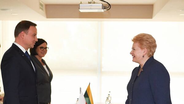 Президент Литвы Даля Грибаускайте встретилась с президентом Польши Анджеем Дудой - Sputnik Литва