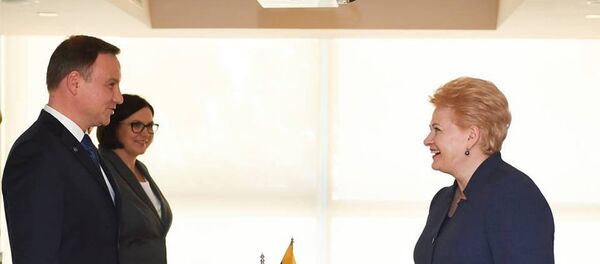 Президент Литвы Даля Грибаускайте встретилась с президентом Польши Анджеем Дудой Президент Литвы Даля Грибаускайте встретилась с президентом Польши Анджеем Дудой - Sputnik Lietuva