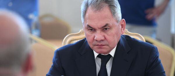 Министр обороны РФ Сергей Шойгу, архивное фото - Sputnik Литва