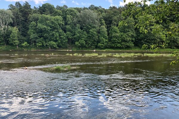Литва попросила Белоруссию помочь восстановить уровень Нерис на фоне засухи - Sputnik Литва