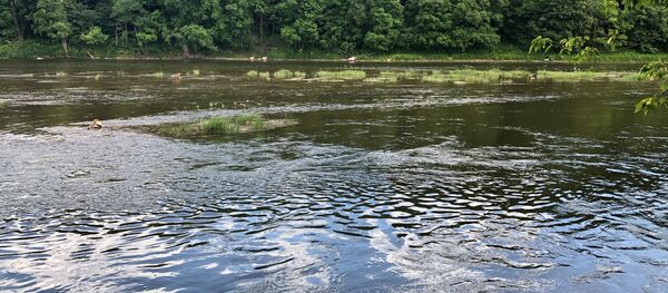 Обмелевшая река Нерис в Вильнюсе, 3 июля 2019 года - Sputnik Литва