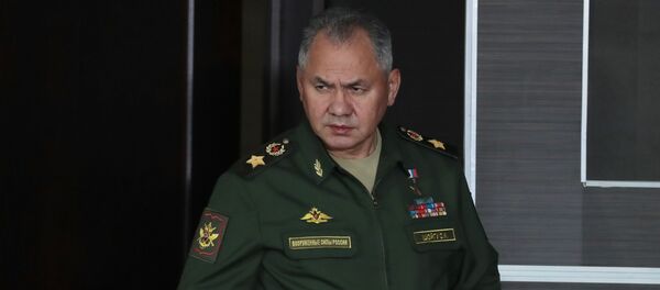 Министр обороны РФ Сергей Шойгу, архивное фото Министр обороны РФ Сергей Шойгу, архивное фото - Sputnik Lietuva