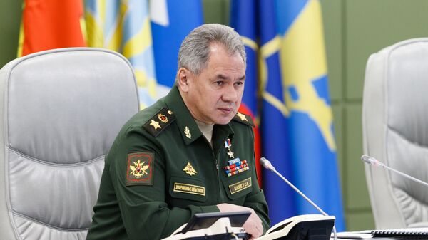 Министр обороны РФ Сергей Шойгу, архивное фото - Sputnik Литва