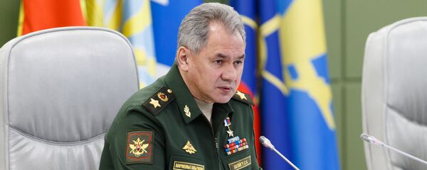 Министр обороны РФ Сергей Шойгу, архивное фото - Sputnik Литва