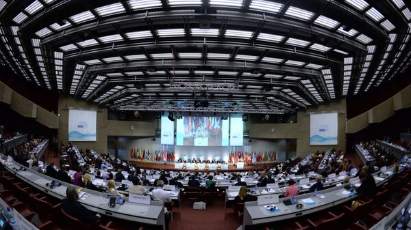 Сессия Парламентской ассамблеи Организации по безопасности и сотрудничеству в Европе, архивное фото - Sputnik Литва