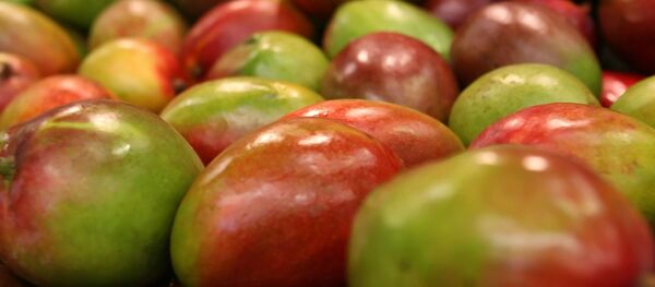 Манго, архивное фото - Sputnik Литва