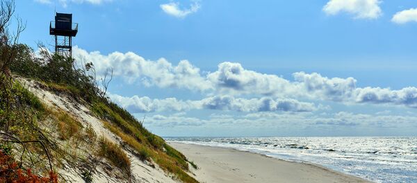 Куршская коса, калининградская область, архивное фото - Sputnik Литва