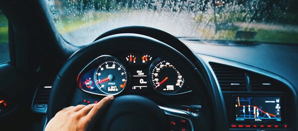 Лобовое стекло, руль приборная панель, архивное фото - Sputnik Литва