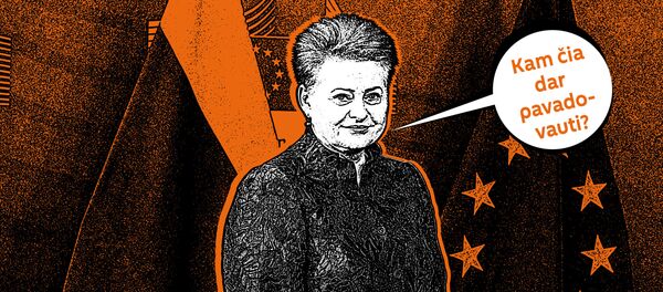 Kam čia dar pavadovauti? Kam čia dar pavadovauti? - Sputnik Lietuva