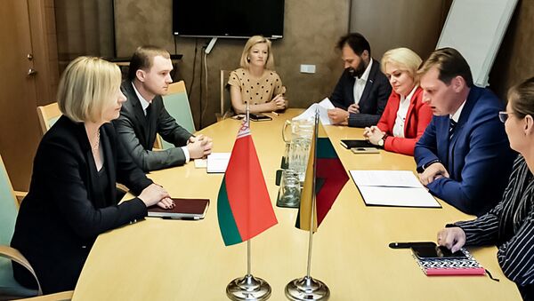 Aplinkos ministras aptarė Neries vandens lygį su Baltarusijos diplomatais - Sputnik Lietuva