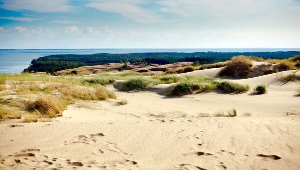 Песчаные дюны в Ниде, Куршская коса, Литва, архивное фото - Sputnik Lietuva