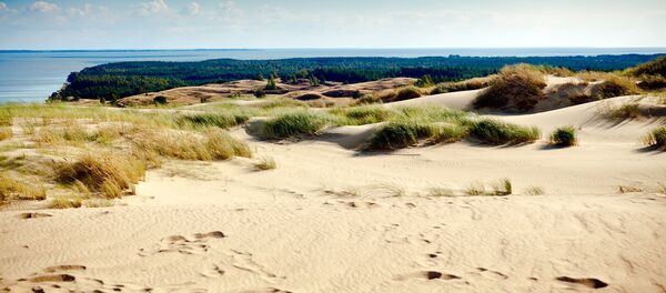 Песчаные дюны в Ниде, Куршская коса, Литва, архивное фото Песчаные дюны в Ниде, Куршская коса, Литва, архивное фото - Sputnik Lietuva