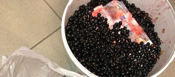 Aptinkta kontrabanda Aptinkta kontrabanda - Sputnik Lietuva