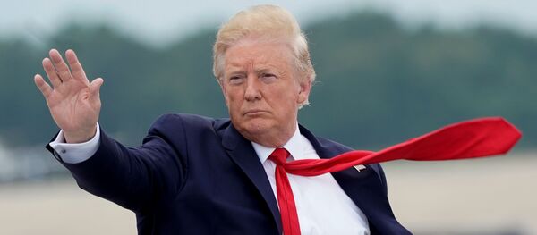 Президент США Дональд Трамп, архивное фото Президент США Дональд Трамп, архивное фото - Sputnik Lietuva