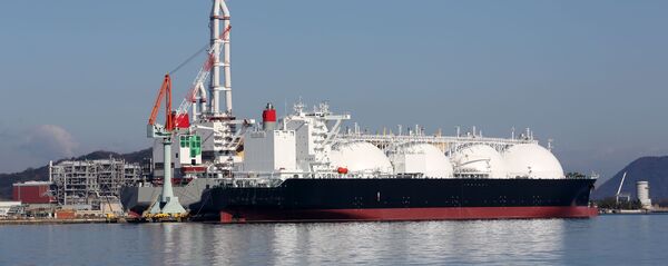 Грузовое судно по перевозке СПГ в порту, архивное фото Грузовое судно по перевозке СПГ в порту, архивное фото - Sputnik Lietuva