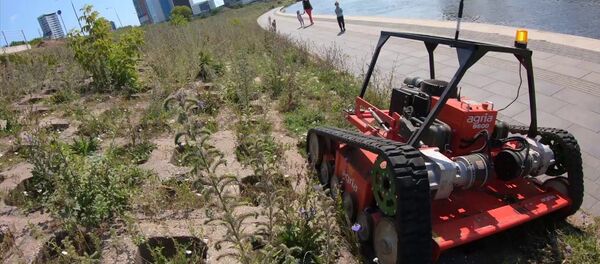 Мэрия Вильнюса похвасталась умным роботом-газонокосилкой - Sputnik Литва