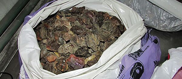 Контрабанда янтаря из Калининградской области - Sputnik Литва