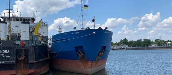 Задержанное СБУ российское судно в порту Измаила, Украина, 25 июля 2019 Задержанное СБУ российское судно в порту Измаила, Украина, 25 июля 2019 - Sputnik Lietuva