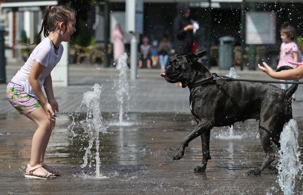 Девочка играет с собакой в фонтане в жаркий день в Брюсселе - Sputnik Lietuva