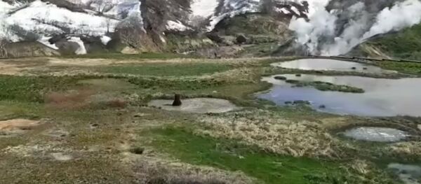 Долина гейзеров в Кроноцком заповеднике - Sputnik Литва