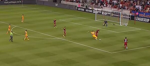 Кот на футбольном поле Кот на футбольном поле - Sputnik Литва